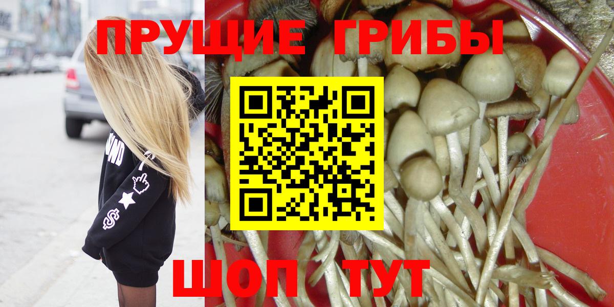 Псилоцибиновые грибы Cubensis Геленджик