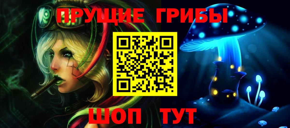 Псилоцибиновые грибы мицелий  где продают наркотики  Геленджик  Вход с VPN 